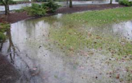 Landscape Drainage System Contractor in Portland, OR